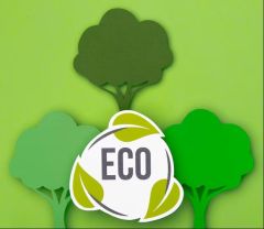 Como ser ECOLÒGICO em Angola