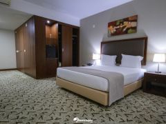 Hotel Skyna