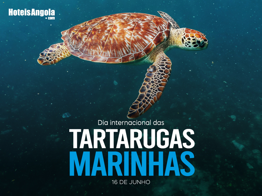 16 DE JUNHO - DIA INTERNACIONAL DAS TARTARUGAS MARINHAS