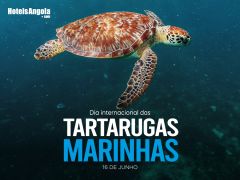 16 DE JUNHO - DIA INTERNACIONAL DAS TARTARUGAS MARINHAS