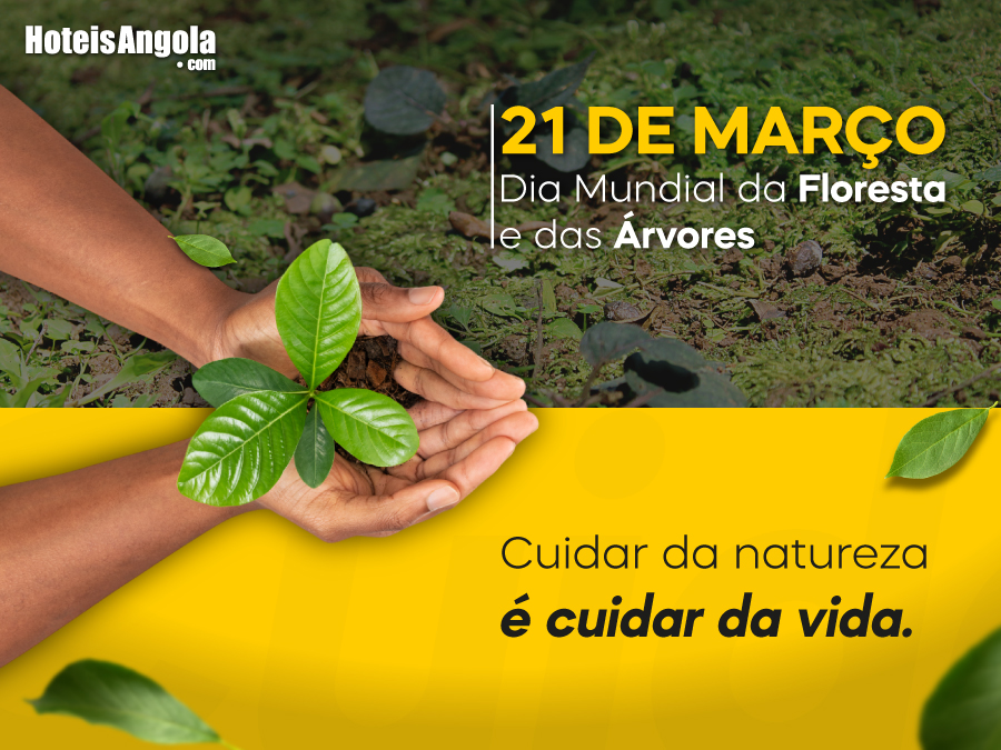21 DE MARÇO - DIA MUNDIAL DA FLORESTA E DAS ÁRVORES