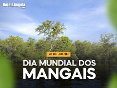 26 de Julho - Dia Mundial dos Mangais