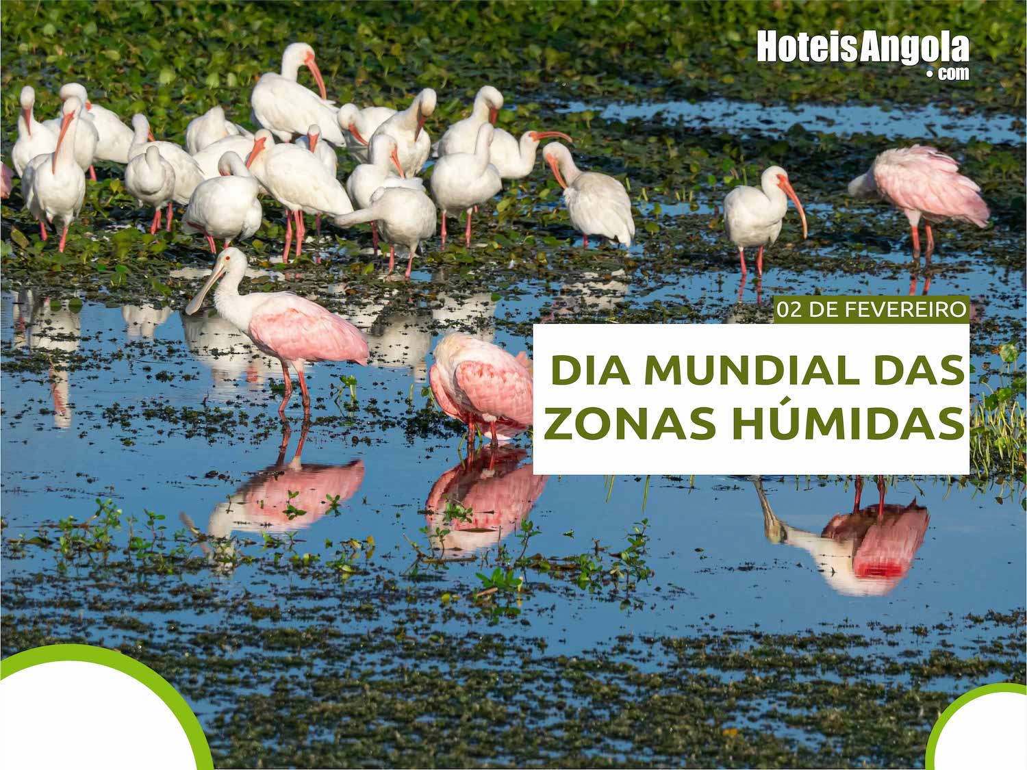 2 DE FEVEREIRO - DIA MUNDIAL DAS ZONAS HÚMIDAS