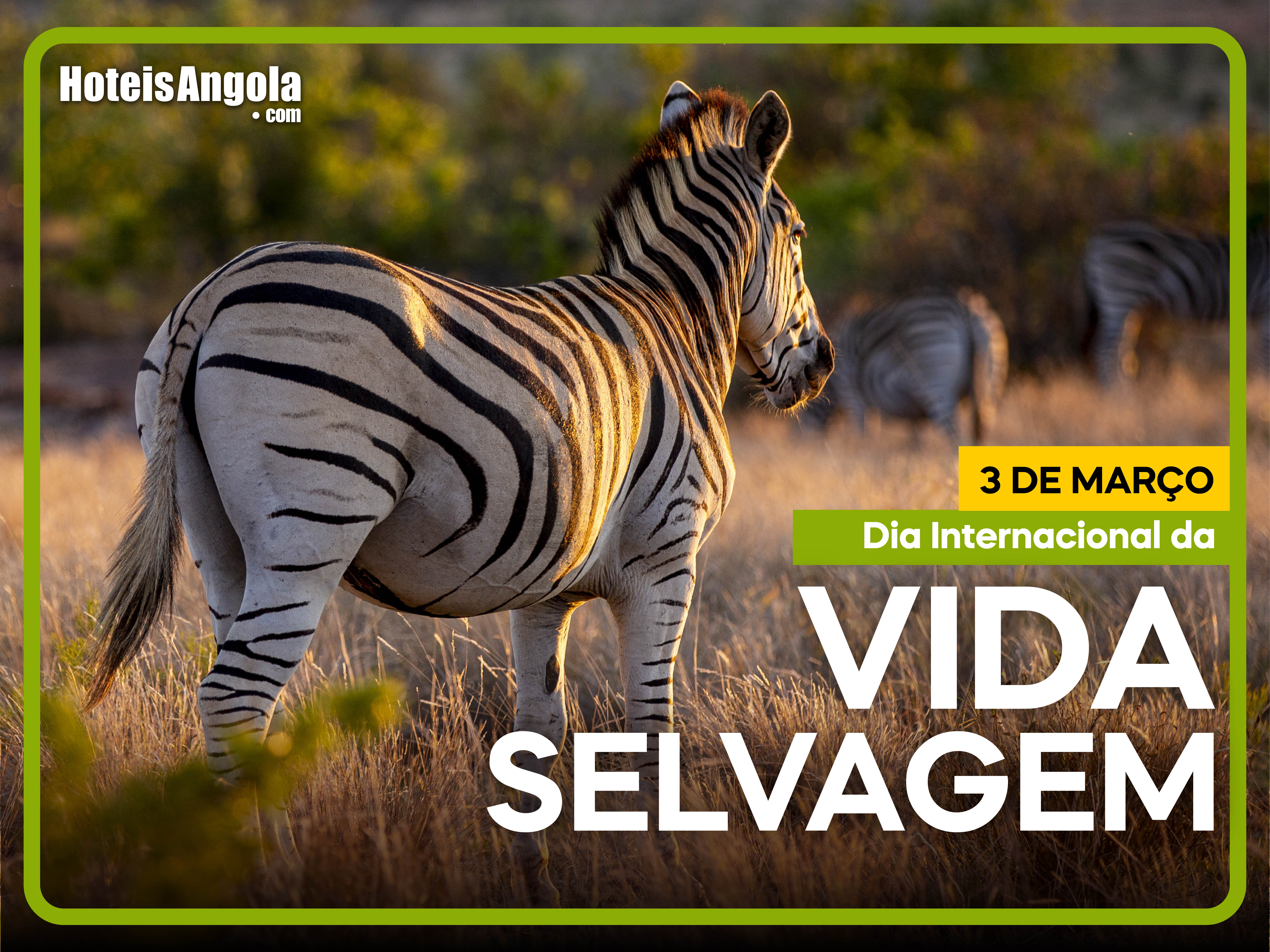 3 DE MARÇO - DIA INTERNACIONAL DA VIDA SELVAGEM