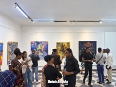 D’Maio Gallery — UNAP